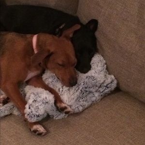 Meet your Posher, Jenni